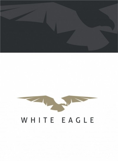 Logotyp luksusowych łodzi i jachtów - White Eagle